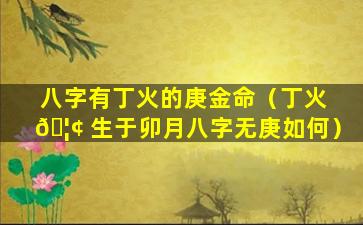 八字有丁火的庚金命（丁火 🦢 生于卯月八字无庚如何）